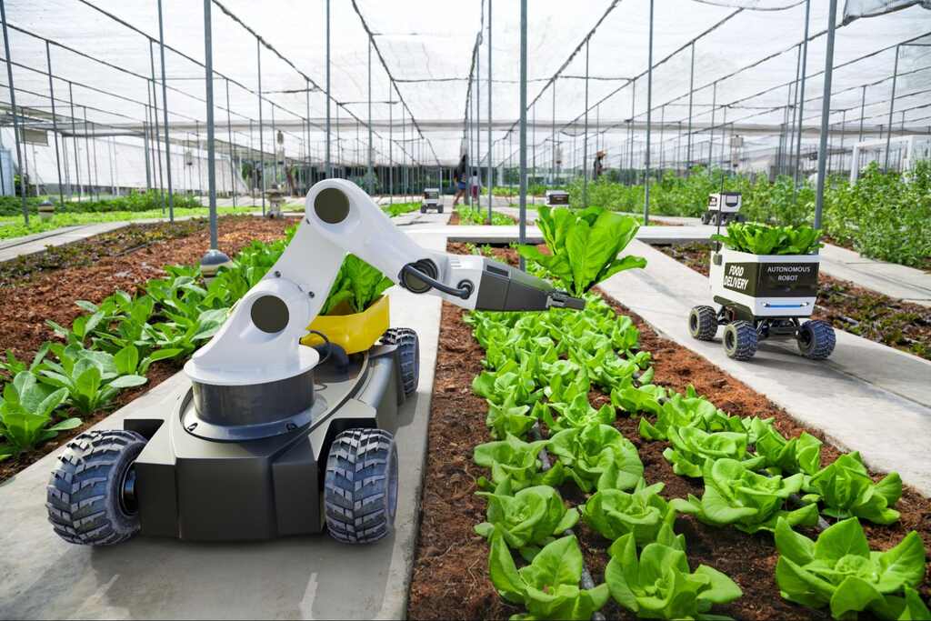 Agricultura Moderna